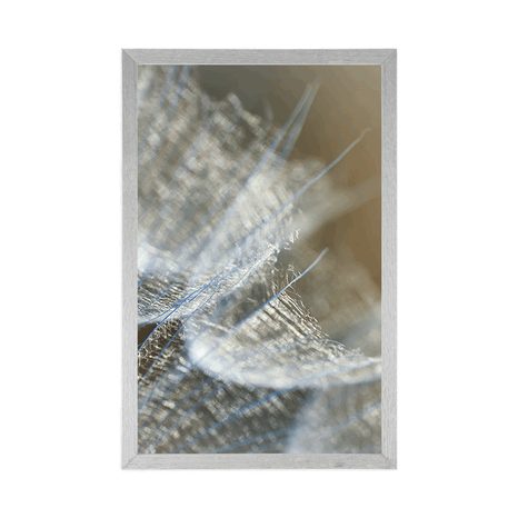 AFFICHE – MACRO PISSENLIT SUR FOND - FLEURS - AFFICHES