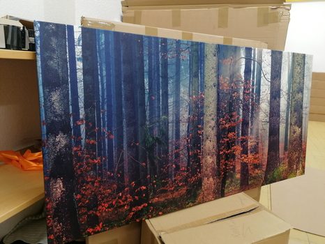 WANDBILD GEHEIMNIS DES WALDES - BILDER VON NATUR UND LANDSCHAFT - BILDER