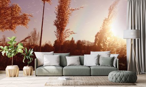 CARTA DA PARATI – ATMOSFERA AUTUNNALE - CARTA DA PARATI ALBA E TRAMONTO - CARTA DA PARATI