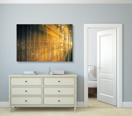 TABLOU SOARELE ÎN SPATELE COPACILOR - TABLOU NATURĂ ȘI PEISAJE NATURALE - TABLOURI