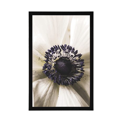 POSTER – FIORE IN FIORE - FIORI - POSTER