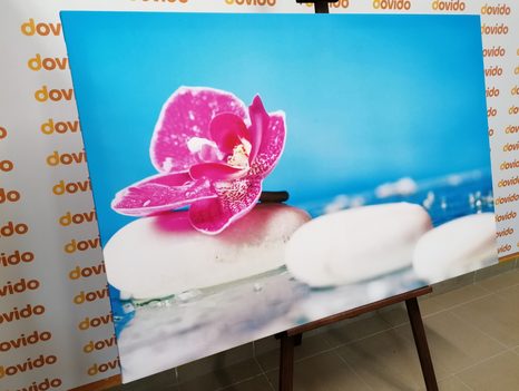 OBRAZ ORCHIDEJ A ZEN KAMENY - OBRAZY FENG SHUI - OBRAZY