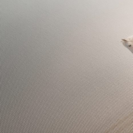 OBRAZ BÍLÝ KŮŇ V POUŠTI - OBRAZY KONĚ - OBRAZY