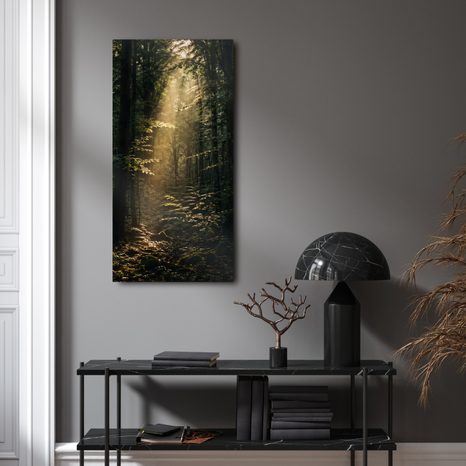 OBRAZ TICHÝ LES V RANNÍM SVITU - PICTURES FOREST - PICTURES