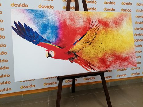 КАРТИНА НА ПЛАТНО – ПОЛЕТ НА ПАПАГАЛ - КАРТИНИ НА ЖИВОТНИ - КАРТИНИ