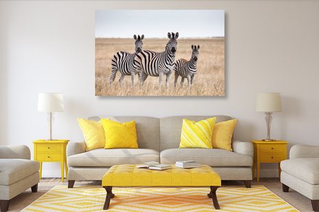 WANDBILD DREI ZEBRAS IN DER SAVANNE - BILDER TIERE - BILDER