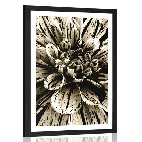 AFFICHE AVEC MONTURE DAHLIA EXOTIQUE DANS UN DESIGN SÉPIA - NOIR ET BLANC - AFFICHES