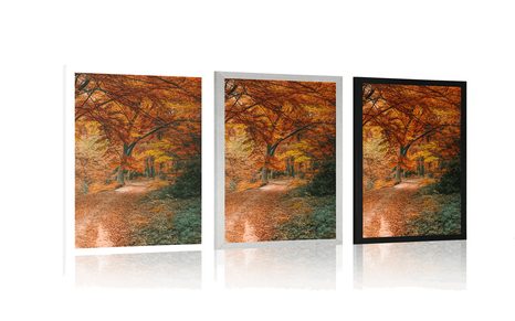 PLAKAT PREKRASNA ŠUMA U JESENJE DOBA - PRIRODA - PLAKATI