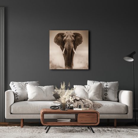 OBRAZ AFRICKÝ SLON V MLZE - OBRAZY SLONI - OBRAZY
