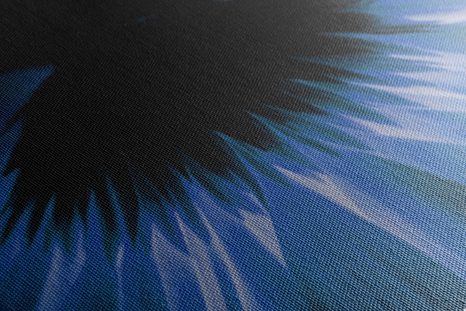 КАРТИНА НА ПЛАТНО – СИНЯ ГЕРБЕРА НА ТЪМЕН ФОН - КАРТИНИ С ЦВЕТЯ - КАРТИНИ