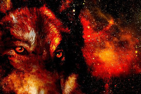 TAPETE GEHEIMNISVOLLER WOLF - TAPETEN MIT TIERMOTIVEN - TAPETEN