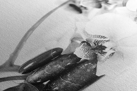 OBRAZ ZÁTIŠÍ S ZEN KAMENY V ČERNOBÍLÉM PROVEDENÍ - ČERNOBÍLÉ OBRAZY - OBRAZY