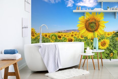 SELF ADHESIVE WALL MURAL FIELD OF SUNFLOWERS - SELF-ADHESIVE WALLPAPERS - WALLPAPERS
