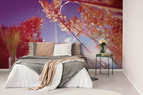 SAMOLEPÍCÍ TAPETA PODZIMNÍ STÉBLA TRÁVY - SAMOLEPÍCÍ TAPETY - TAPETY