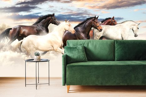 CARTA DA PARATI – MANDRIA DI CAVALLI - CARTA DA PARATI ANIMALI - CARTA DA PARATI