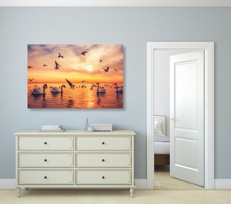 WANDBILD SCHWÄNE AUF DEM MEER - BILDER TIERE - BILDER