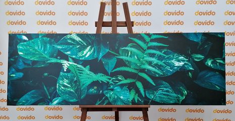 ΕΙΚΌΝΑ ΦΡΈΣΚΩΝ ΤΡΟΠΙΚΏΝ ΦΎΛΛΩΝ - ΠΊΝΑΚΕΣ ΦΎΣΗΣ ΚΑΙ ΤΟΠΊΟΥ - ΠΊΝΑΚΕΣ