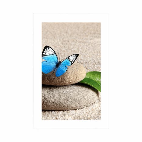 PLAKAT Z PASSE-PARTOUT NIEBIESKI MOTYL NA KAMIENIU ZEN - FENG SHUI - PLAKATY