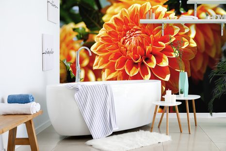 FOTOTAPETA ORANŽOVÁ DÁLIA - TAPETY KVĚTINY - TAPETY