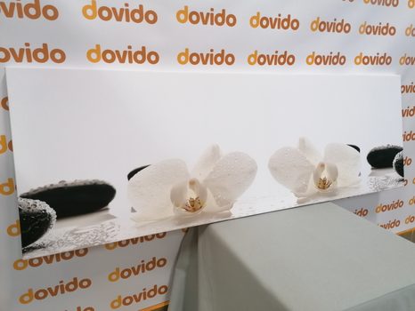 SLIKA BELI CVETOVI ORHIDEJE - SLIKE FENG SHUI - SLIKE