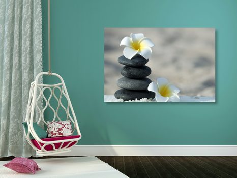 ΕΙΚΌΝΑ ΑΠΌ ΑΡΜΟΝΙΚΈΣ ΠΈΤΡΕΣ ΚΑΙ ΛΟΥΛΟΎΔΙ PLUMERIA - ΠΊΝΑΚΕΣ ΦΕΝΓΚ ΣΟΎΙ - ΠΊΝΑΚΕΣ