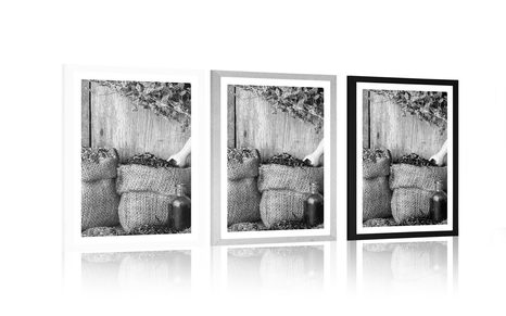 PLAKÁT S PASPARTOU LÉČIVÉ BYLINKY V ČERNOBÍLÉM PROVEDENÍ - ČERNOBÍLÉ - PLAKÁTY