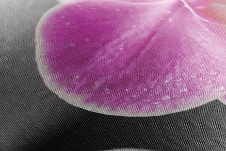 OBRAZ KVĚTINY ORCHIDEJE NA BÍLÝCH KAMENECH - OBRAZY FENG SHUI - OBRAZY