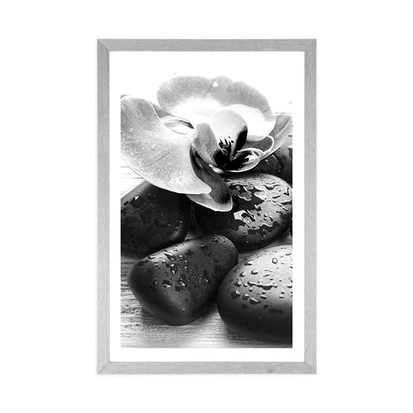 POSTER – BELLA ARMONIA DI PIETRE E ORCHIDEA IN BIANCO E NERO - NERO E BIANCO - POSTER