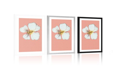 PLAKÁT S PASPARTOU NĚŽNOST KVĚTU KAPUCÍNKY - MOTIVY Z NAŠÍ DÍLNY - PLAKÁTY