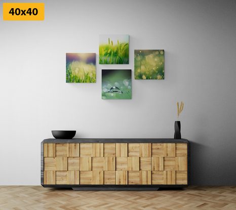 BILDER-SET MORGENTAU AUF DER WIESE - BILDERSETS - BILDER