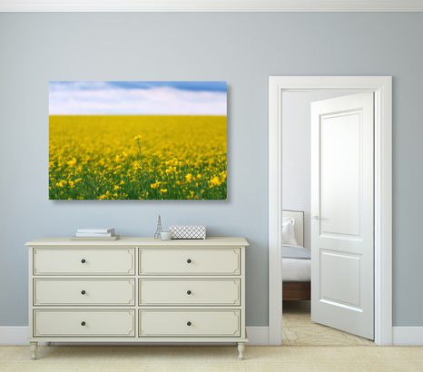 OBRAZ ŽLUTÉ POLE - OBRAZY PŘÍRODY A KRAJINY - OBRAZY