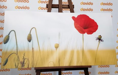 ΕΙΚΌΝΑ ΆΓΡΙΑΣ ΠΑΠΑΡΟΎΝΑΣ - ΠΊΝΑΚΕΣ ΑΠΌ ΛΟΥΛΟΎΔΙΑ - ΠΊΝΑΚΕΣ