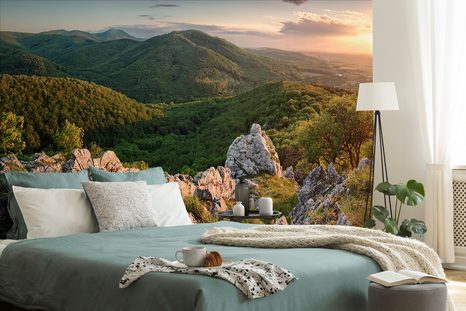 FOTOTAPETA PŘÍRODA ZALITÁ SLUNCEM - TAPETY PŘÍRODA - TAPETY