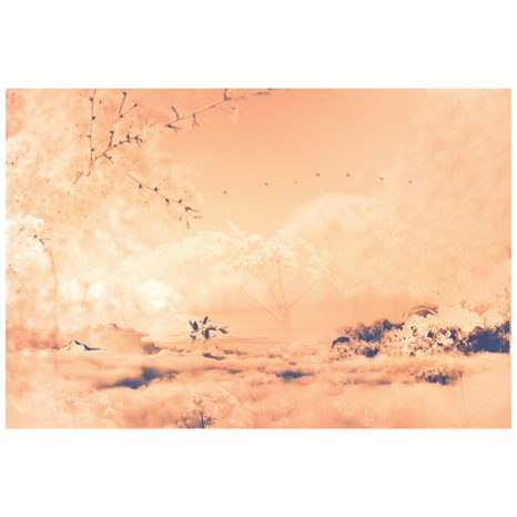 SAMOLEPÍCÍ TAPETA V NÁRUČÍ STROMŮ PEACH FUZZ - SAMOLEPÍCÍ TAPETY - TAPETY