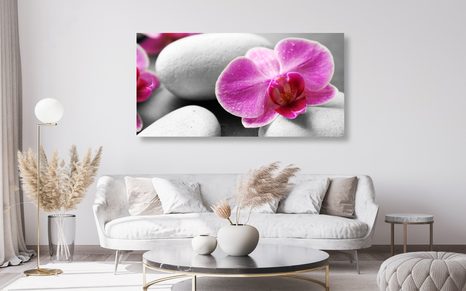 OBRAZ KVĚTINY ORCHIDEJE NA BÍLÝCH KAMENECH - OBRAZY FENG SHUI - OBRAZY