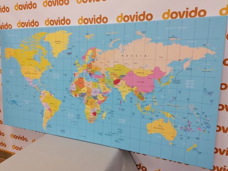 ΕΙΚΌΝΑ ΣΕ ΧΆΡΤΗ ΑΠΌ ΦΕΛΛΌ ΣΕ ΜΠΛΕ ΦΌΝΤΟ - ΠΊΝΑΚΕΣ ΣΤΟ ΦΕΛΛΌ - ΠΊΝΑΚΕΣ