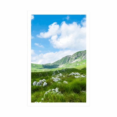 POSTER – VALLE IN MONTENEGRO - NATURA - POSTER