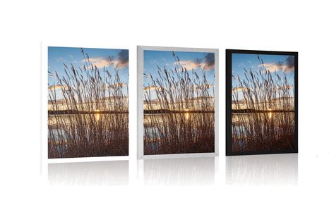 POSTER CALM RIVER NEAR THE VILLAGE - NATURE - POSTERS