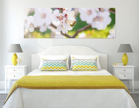 WANDBILD BAUMBLÜTEN IM FRÜHLING - BILDER BLUMEN - BILDER