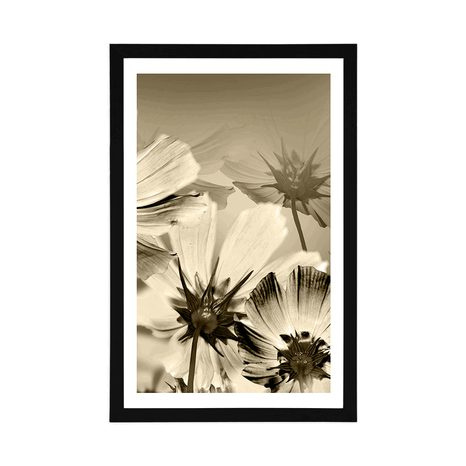 POSTER – FIORI DA GIARDINO IN SEPPIA - NERO E BIANCO - POSTER