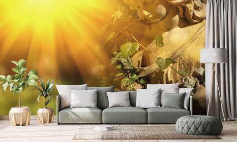 SAMOLEPÍCÍ FOTOTAPETA ANDĚL S PAPRSKY SLUNCE - SAMOLEPÍCÍ TAPETY - TAPETY