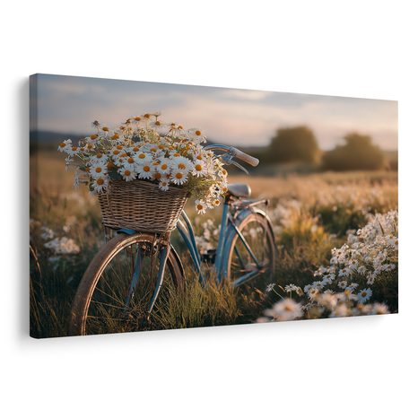 WANDBILD FAHRRAD MIT BLUMEN AUF DER WIESE - BILDER - 🔥 TOTALAUSVERKAUF