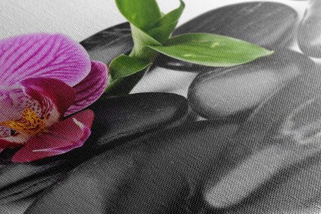 OBRAZ MASÁŽNÍ WELLNESS KAMENY - OBRAZY FENG SHUI - OBRAZY