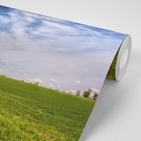 CARTA DA PARATI – PAESAGGIO INCANTEVOLE - CARTA DA PARATI NATURA - CARTA DA PARATI