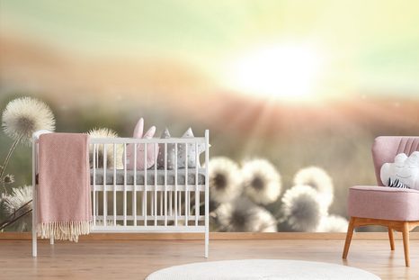 FOTOTAPETA PANORAMA KVETOUCÍ LOUKY - TAPETY PŘÍRODA - TAPETY