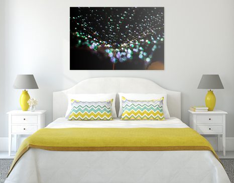 SLIKA KAPLJICE VODE NA REGRATOVI LUČKI - SLIKE ROŽ - SLIKE