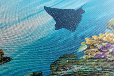 WANDBILD KORALLENRIFF MIT FISCHEN UND SCHILDKRÖTEN - WANDBILDER MEERESTIERE - BILDER