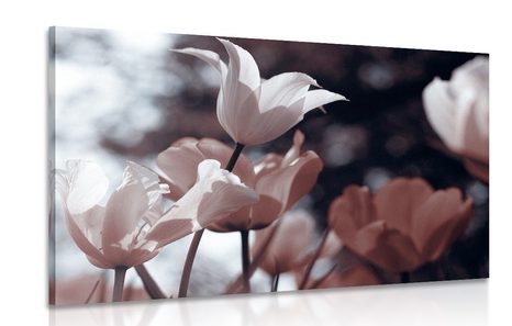 CANVAS PRINT SPRING TULIPS IN A PARK - PICTURES FLOWERS - PICTURES