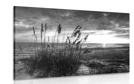 CANVAS PRINT SUNSET ON A BEACH IN BLACK AND WHITE - BLACK AND WHITE PICTURES - PICTURES