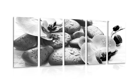 5-PIECE CANVAS PRINT BEAUTIFUL INTERPLAY OF STONES AND ORCHIDS IN BLACK AND WHITE - BLACK AND WHITE PICTURES - PICTURES